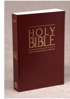 HOLY BIBLE - مجموعة من المؤلفين