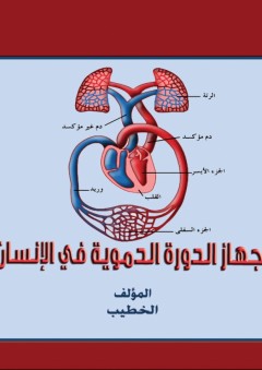 جهاز الدورة الدموية في الإنسان