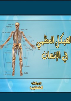 الهيكل العظمي في الإنسان