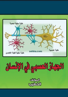 الجهاز العصبي في الإنسان - الخطيب