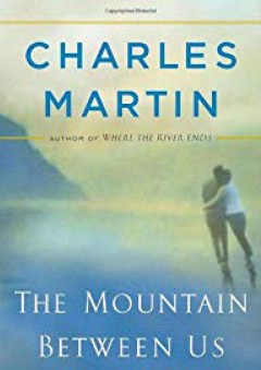 The Mountain Between Us: A Novel - Charles Martin