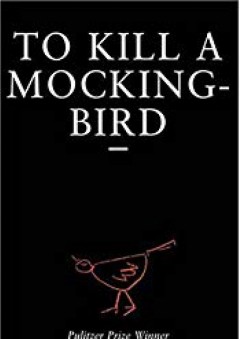 To Kill a MockingBird Book Summary
