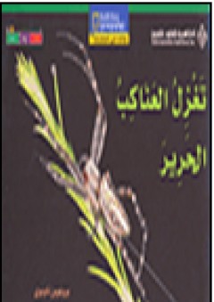 تغزل العناكب الحرير