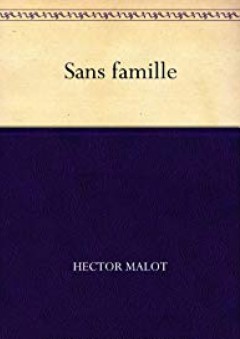 Sans famille (French Edition)