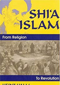 Shi'a Islam: From Religion to Revolution (Princeton Series on the Middle East) - Heinz Halm