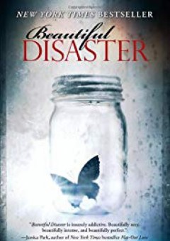 Beautiful Disaster: A Novel