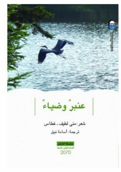 لعنة الكرسي - أبو بكر العيادي