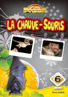 Série les animaux d'ici et d'ailleurs -6- La Chauve-Souris - إدريس صابر