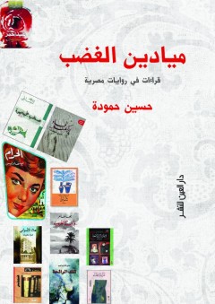 ميادين الغضب "قراءات في روايات مصرية"