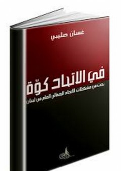 الصارم المنكي في الرد على السبكي - محمد بن عبد الهادي أبو عبد الله