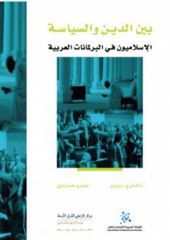 بين الدين والسياسة: الإسلاميون في البرلمانات العربية - عمرو حمزاوي